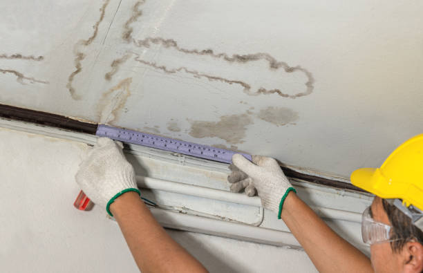 Reliable Burst Pipe Cleanup contractor in Providence, KY by Water Damage Irwin